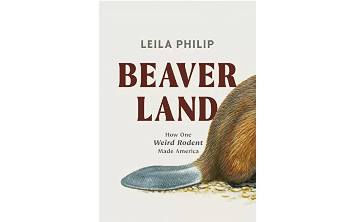 Beaverland
