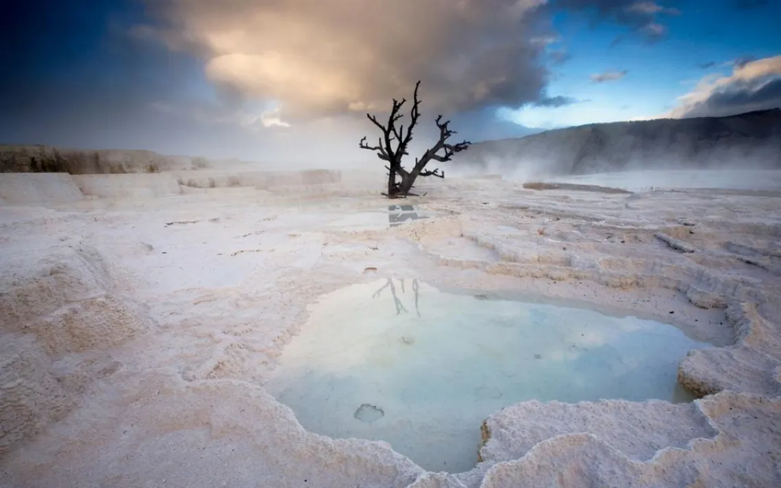 Yellowstone