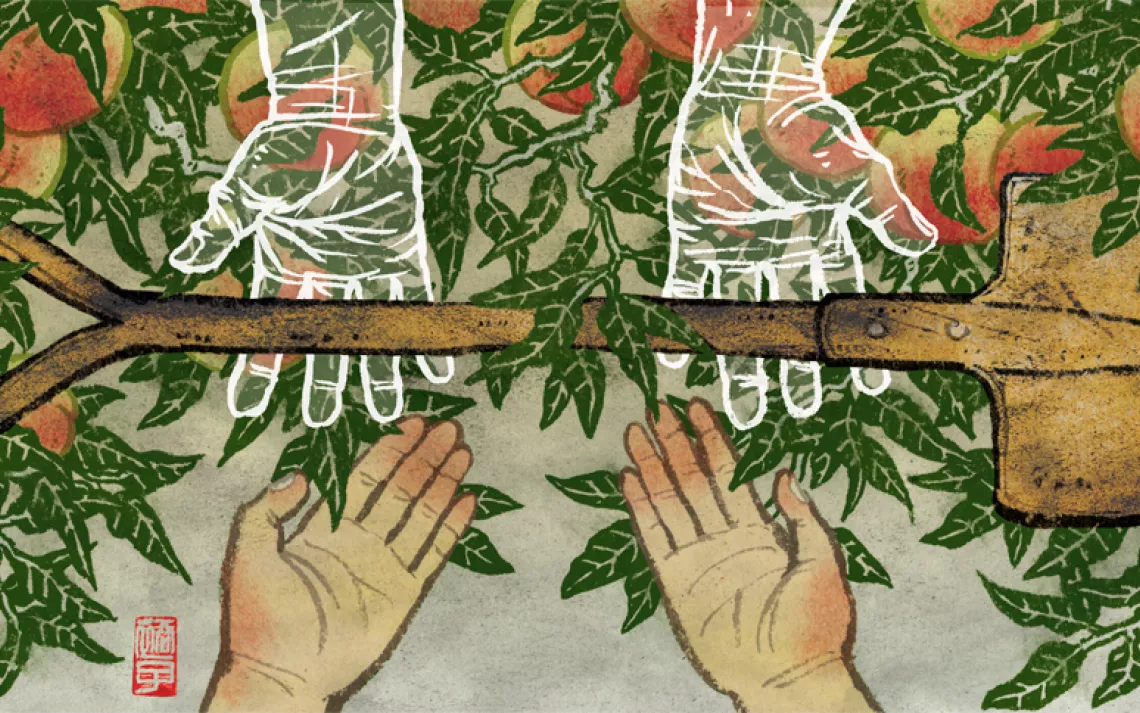 My Grandfather's Shovel