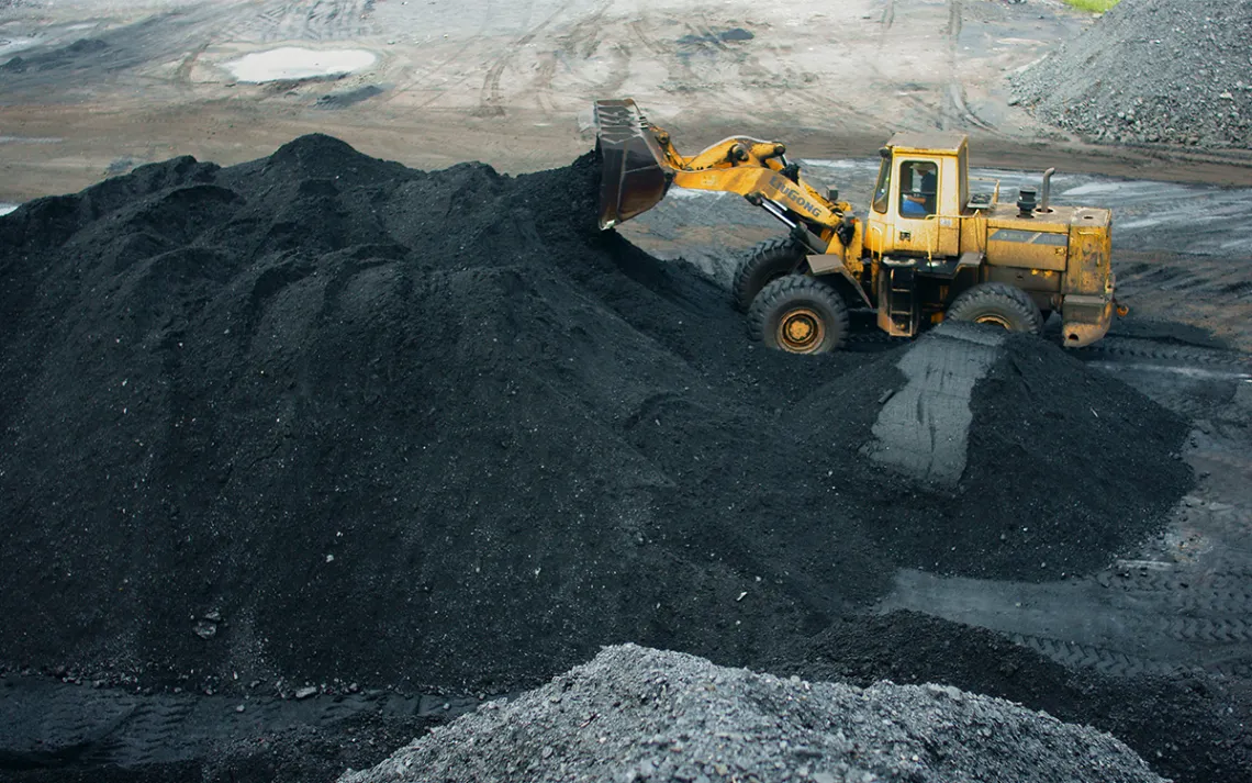 Coal