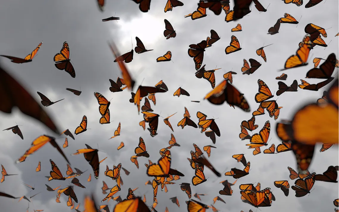 The climate movement needs to find a way to balance ecological equity and human solidarity