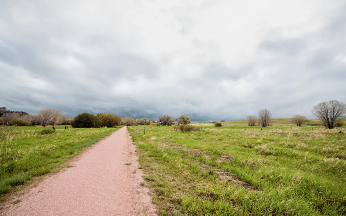 A trail leads through a meadow on a foggy day.