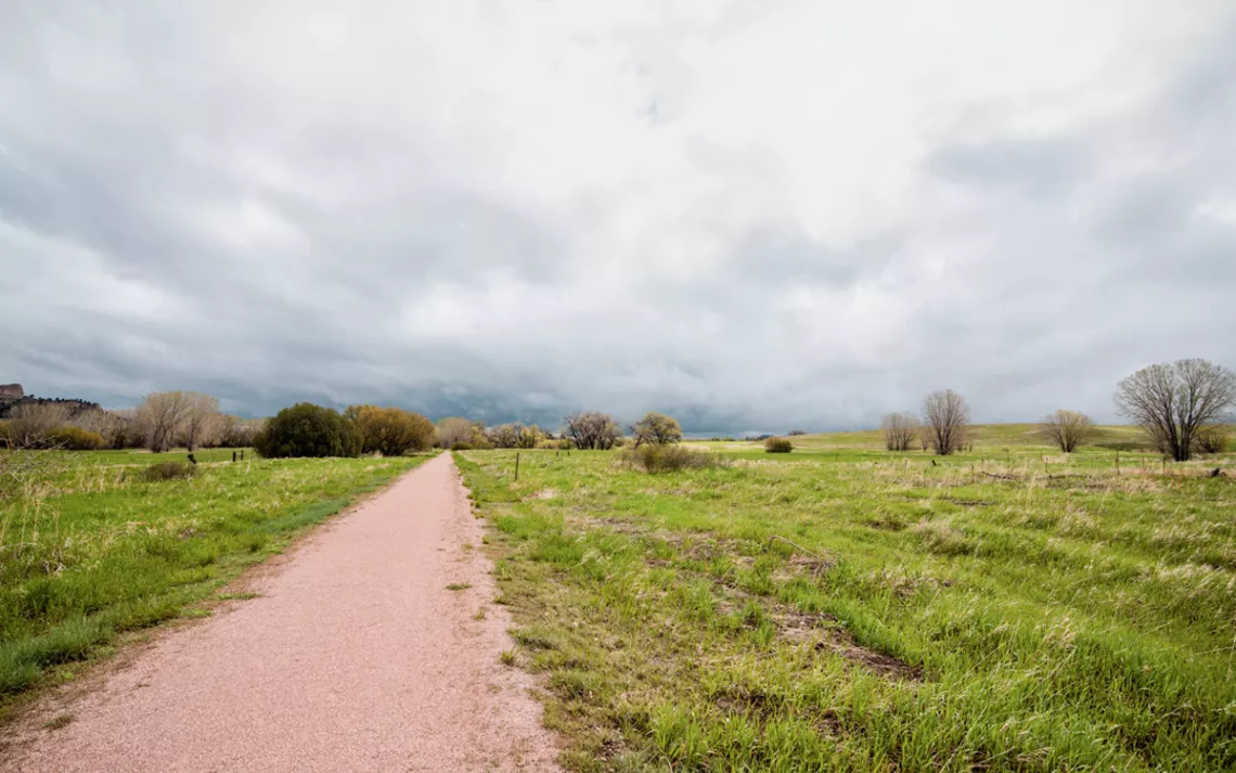 A trail leads through a meadow on a foggy day.