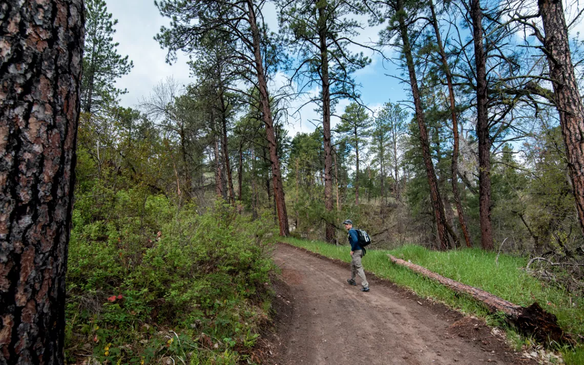 Steve Myers looks back at the camera from a dirt road leading through trees.