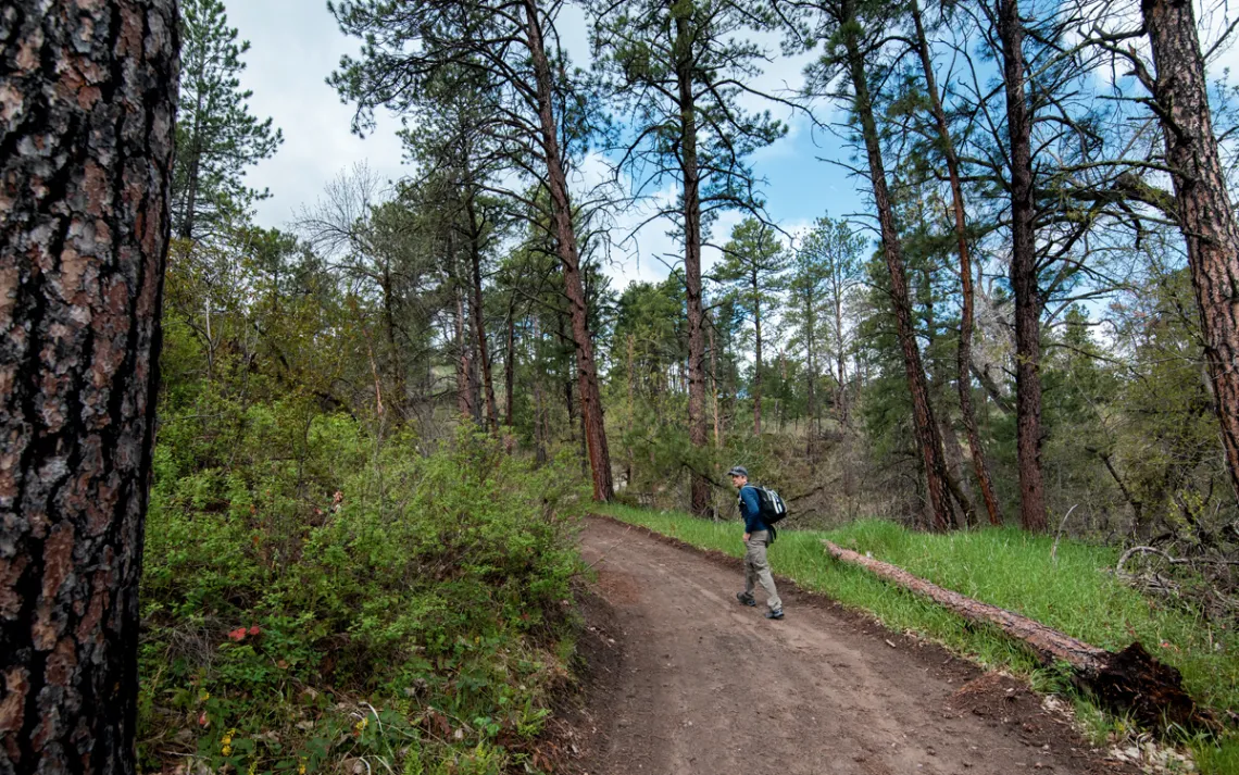 Steve Myers looks back at the camera from a dirt road leading through trees.