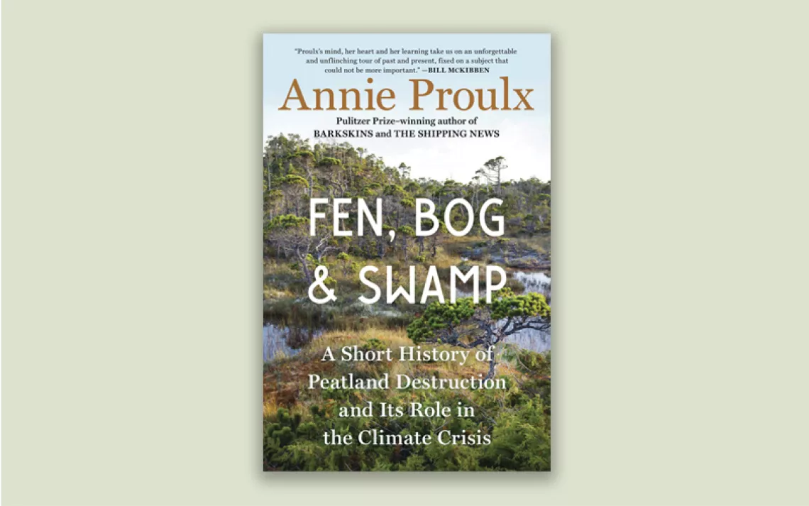 Fen, Bog & Swamp: A Short History of Peatland Destruction and Its Role in the Climate Crisis