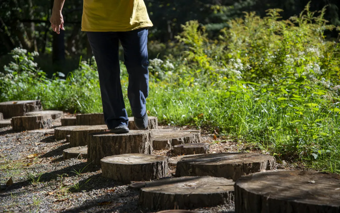 Autism Nature Trail