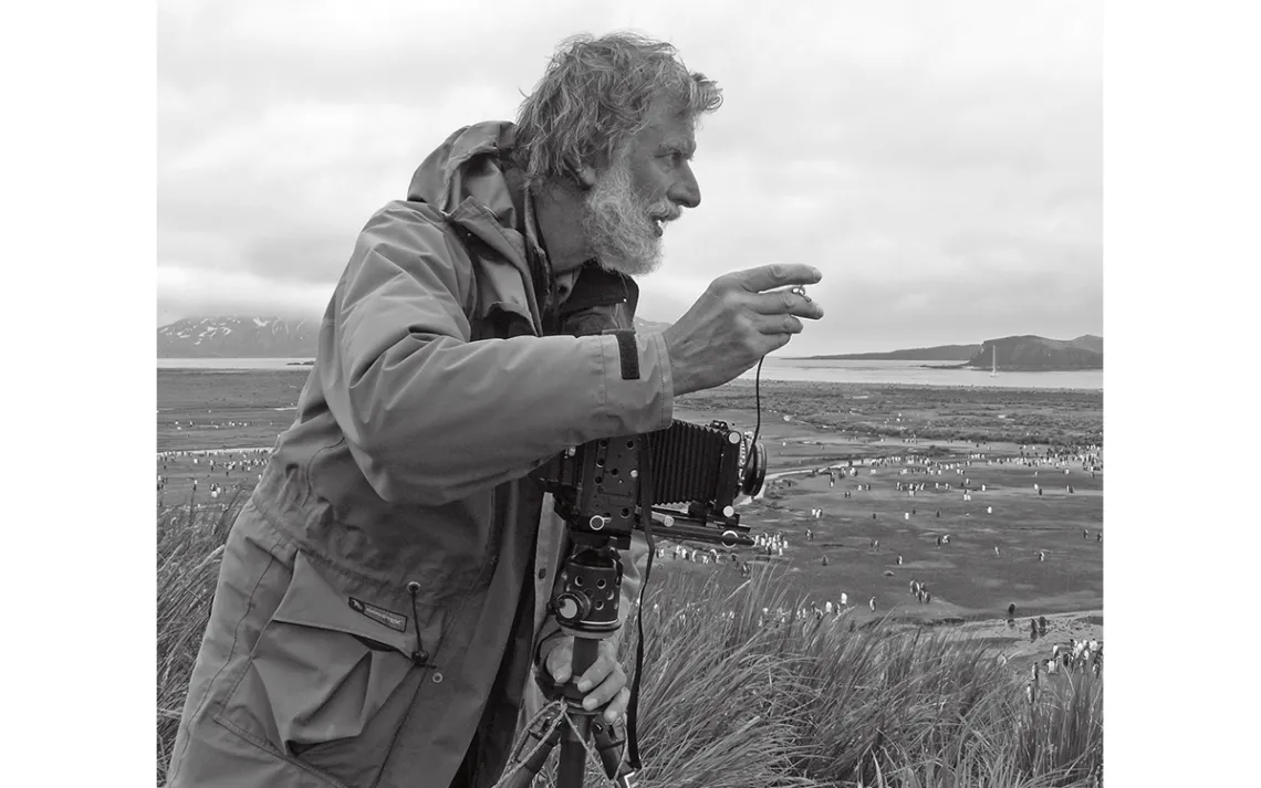 David Neilson