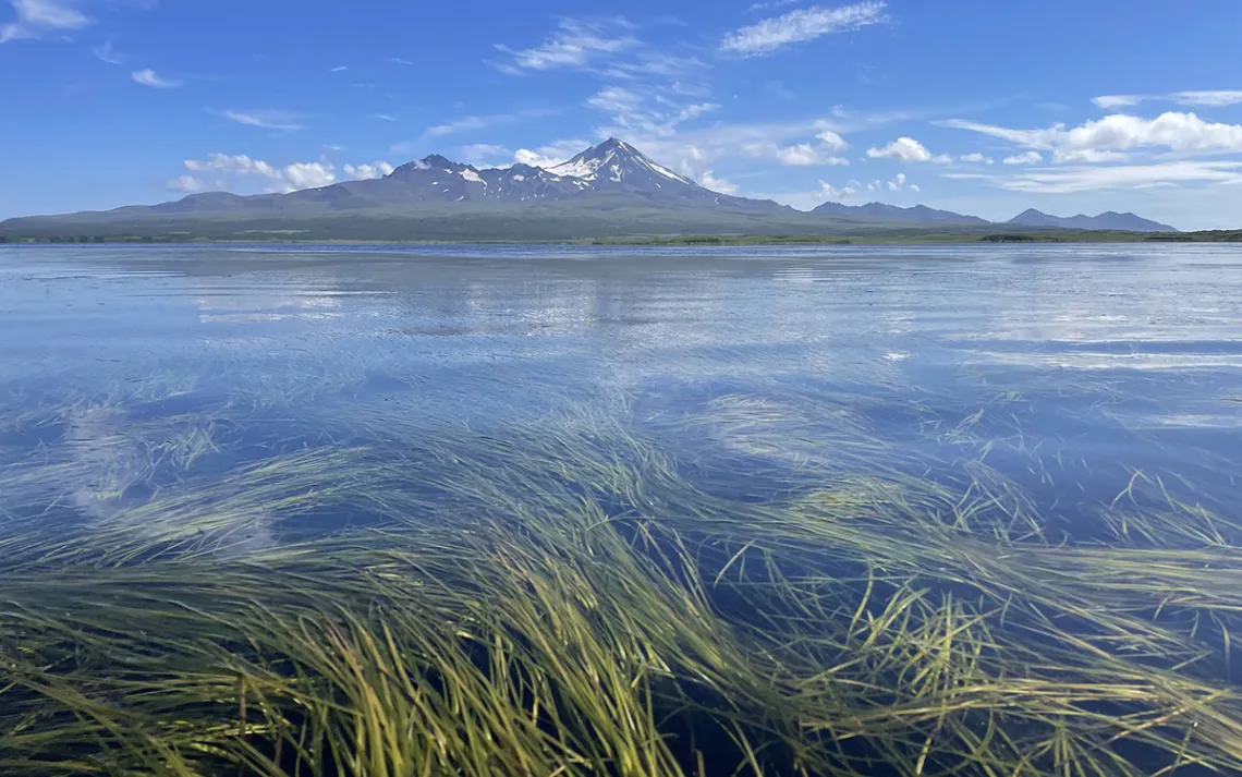 Izembek