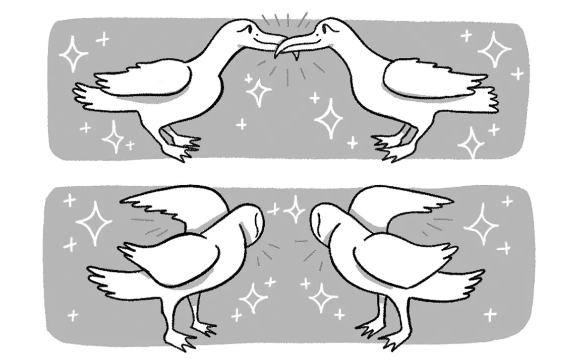Queer Ducks illo