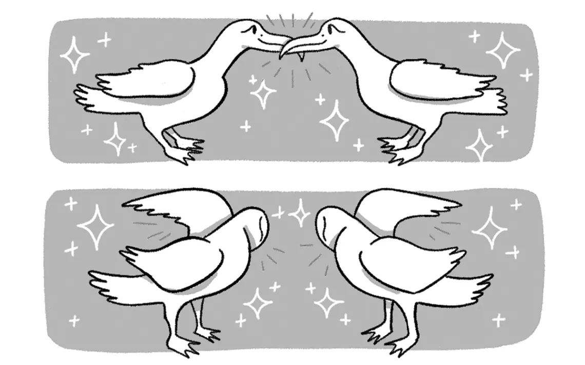 Queer Ducks illo