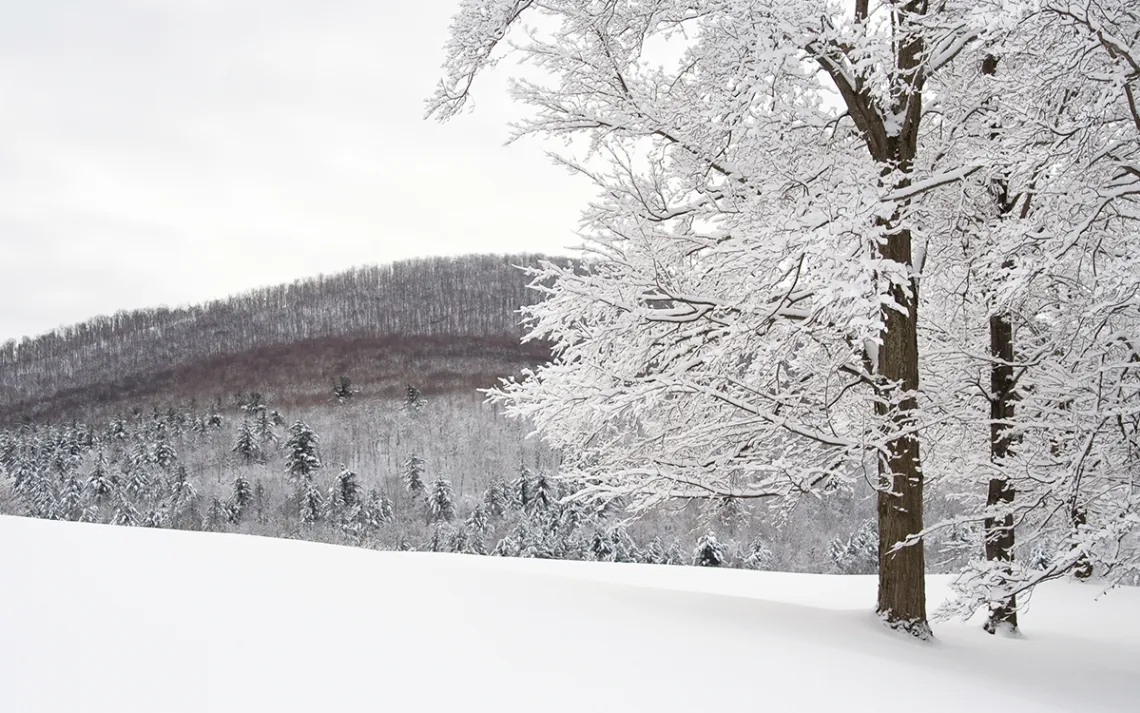 snowpack