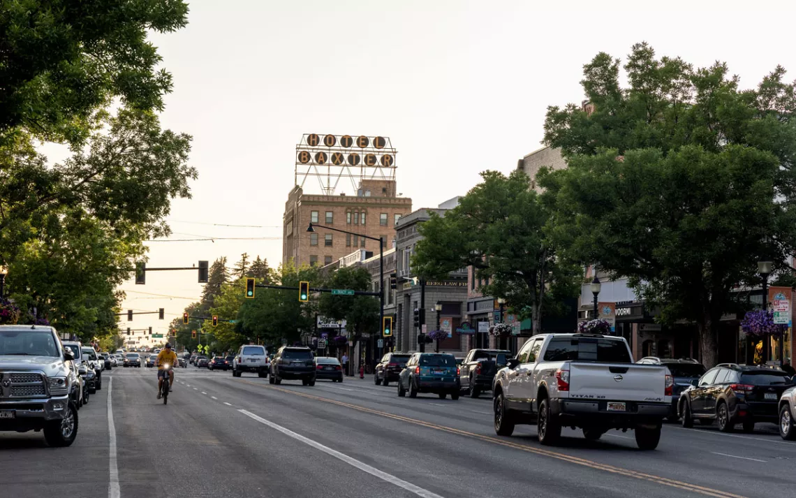 Cars drive down a tree-lined street with shops in Bozeman.