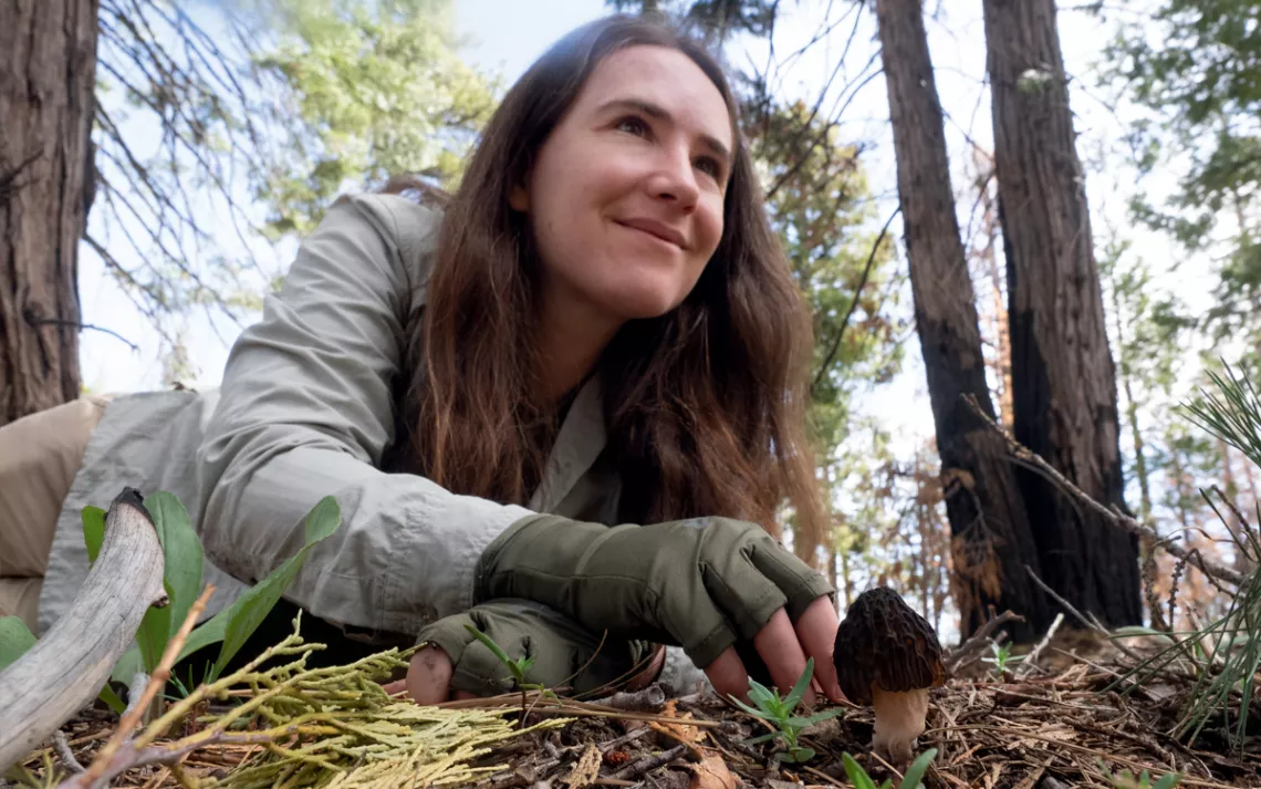 Thea Chesney smiles and reaches for a morel on the forest floor.
