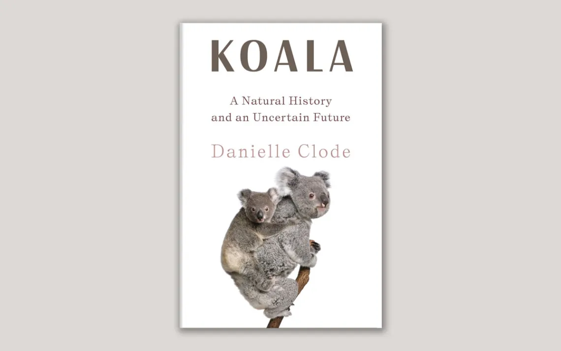 Koala