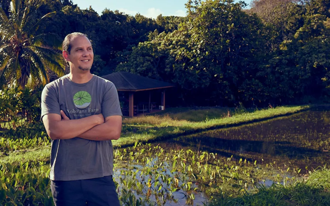 Hōkūao Pellegrino stands in a lush taro field with his arms crossed, looking to his left.