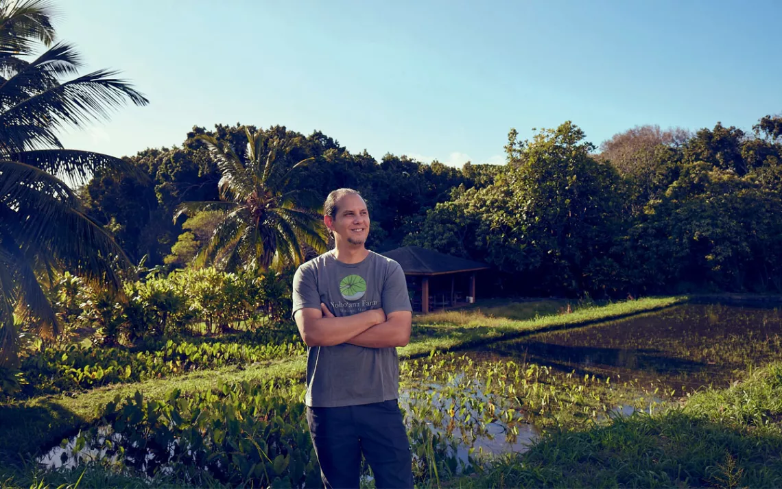 Hōkūao Pellegrino stands in a lush taro field with his arms crossed, looking to his left.