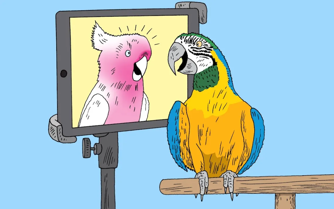 Illustration by Peter Ankle
