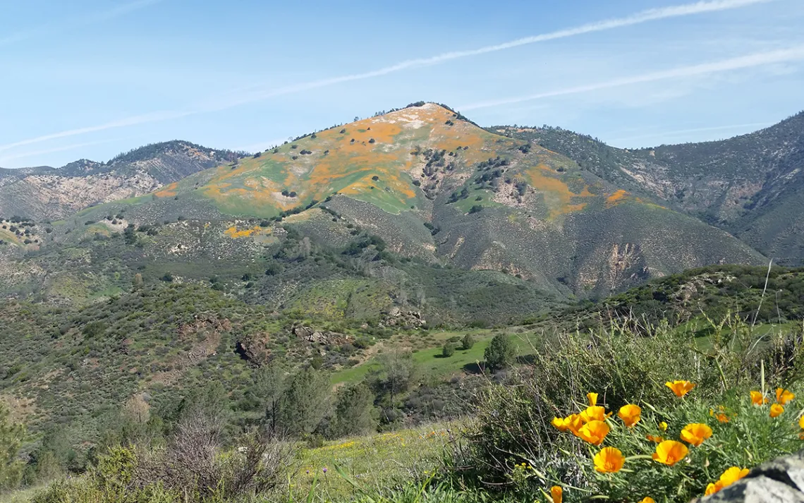 Grass Mountain at Figueroa Mountain. Photo by Justin Luong