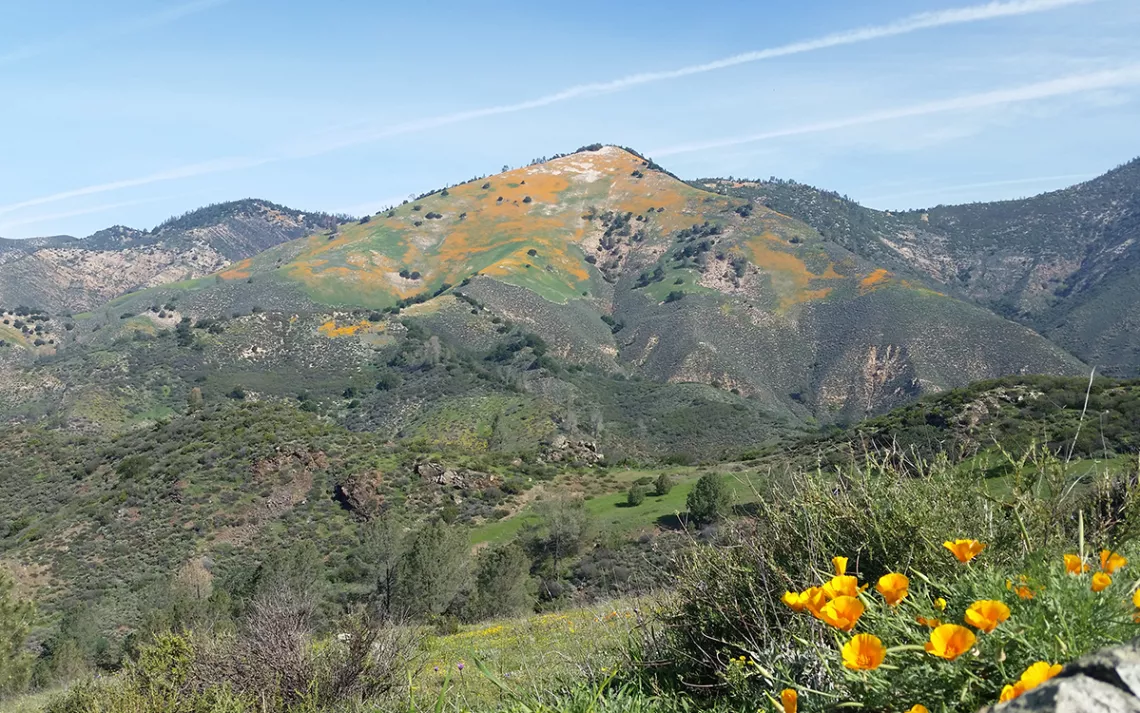 Grass Mountain at Figueroa Mountain. Photo by Justin Luong