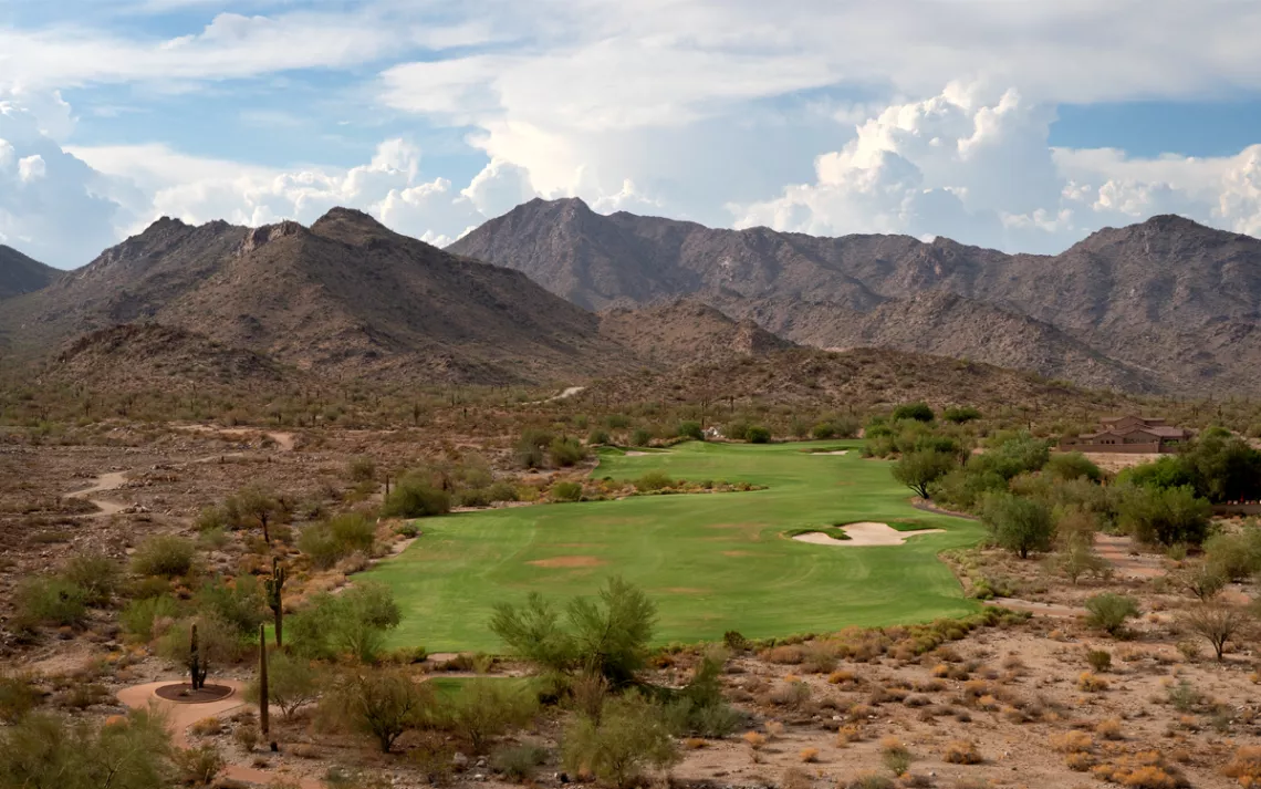 In metro Phoenix, golf courses and megaresorts have materialized on terrain better suited to saguaro and mesquite.