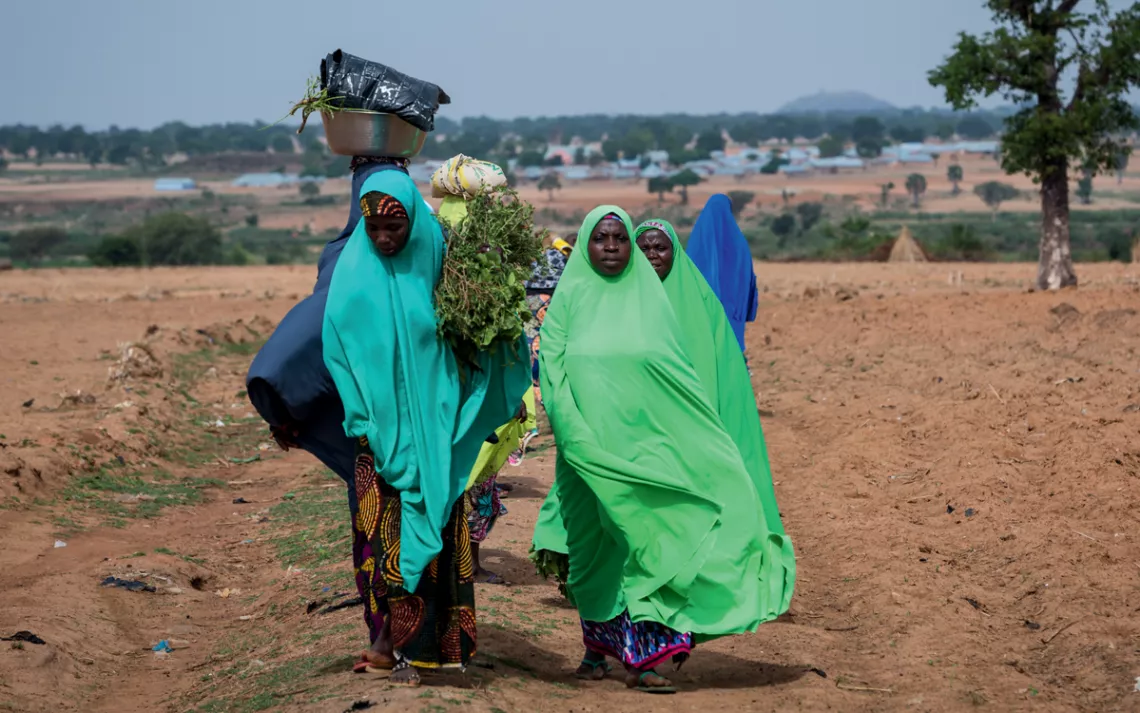 Northern Nigeria's increasingly dry landscape