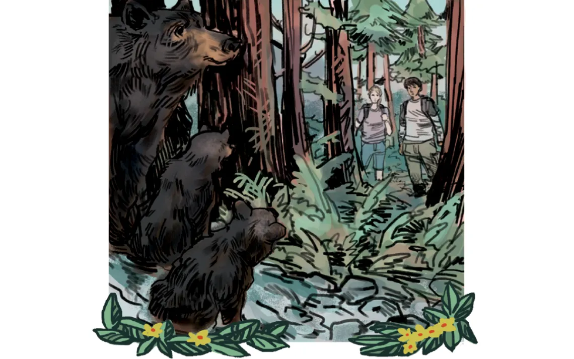 Don't Mess With Mama Bear