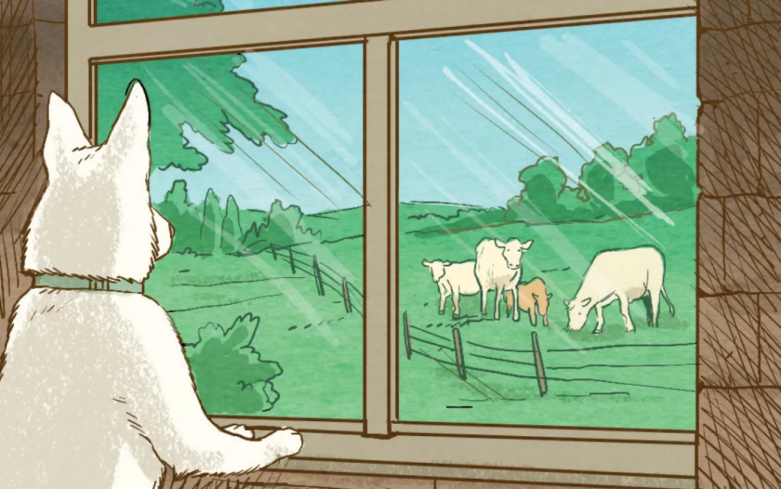 How to Escape a Cattle Stampede