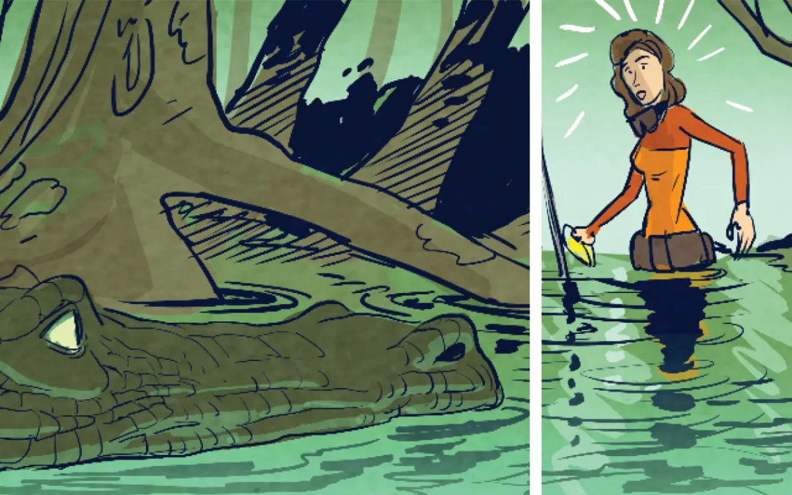 How to Survive an Encounter With an Alligator