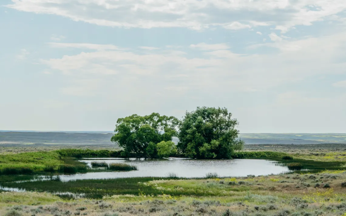 Northeastern Montana's grassland ecosystem is one of the most intact left on the planet.