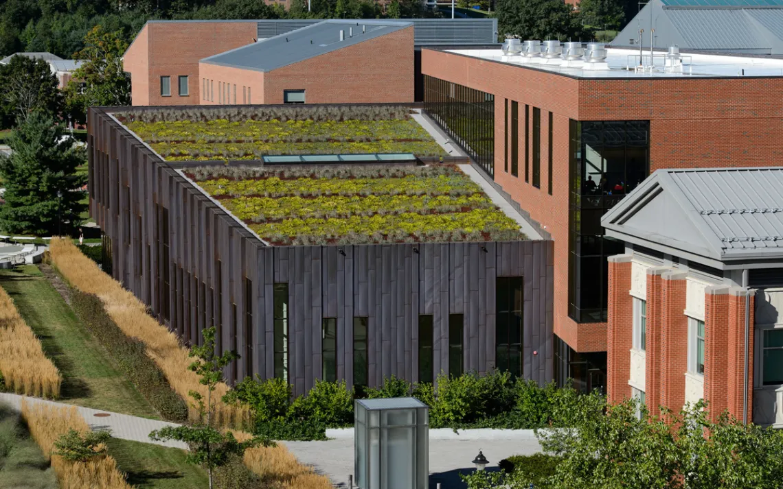 A green roof on a LEED-certified building at the University of Connecticut&nbsp;