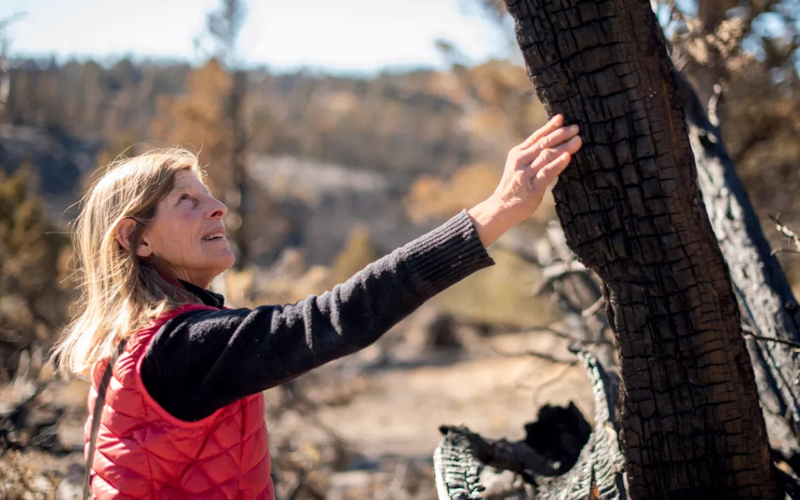 Katie Fite of WildLands Defense has spent years documenting the destruction of piñon-juniper forests across the West.