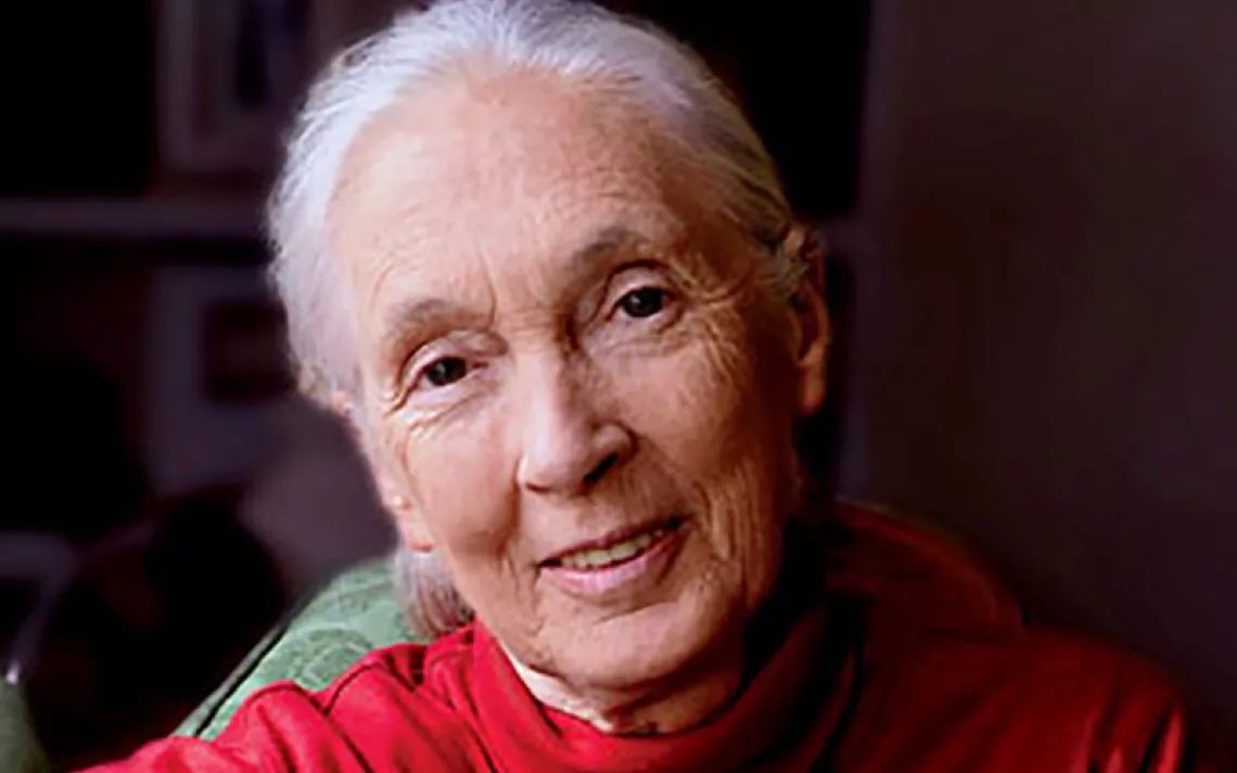 Jane Goodall