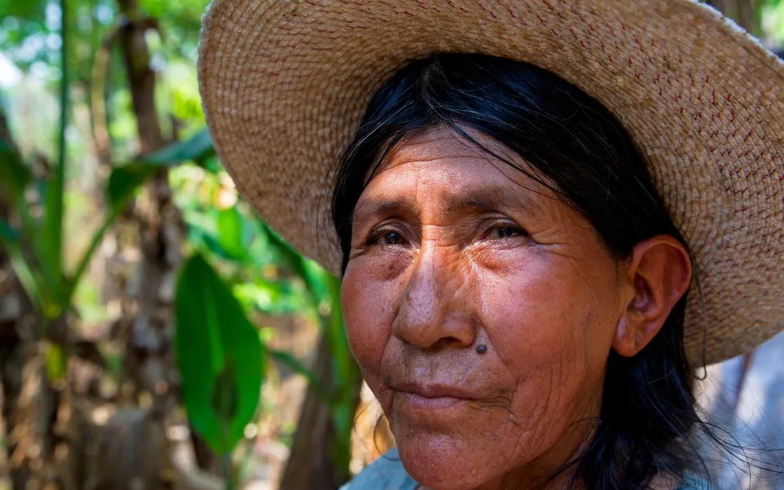 Woman left homeless by forest fires in the Santa Cruz region of Bolivia