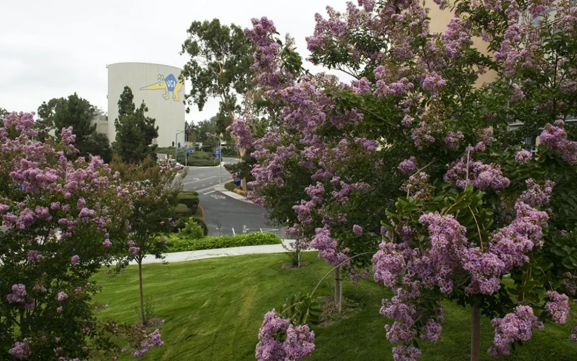 University of California, Irvine