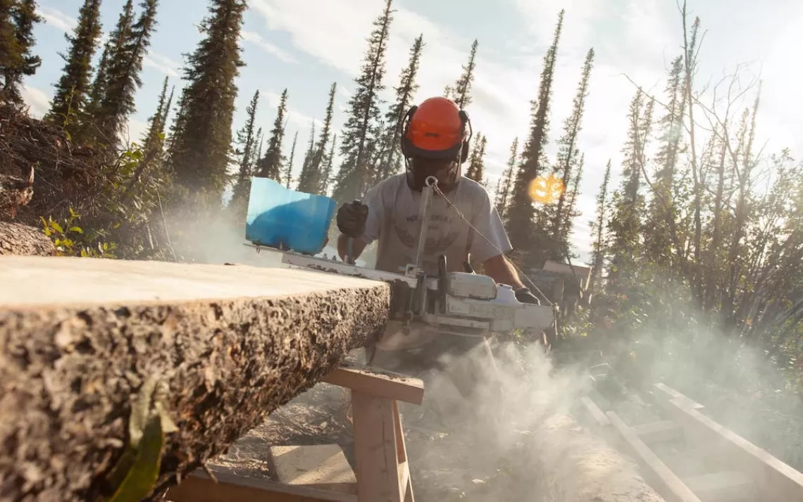 Indigenous Architecture