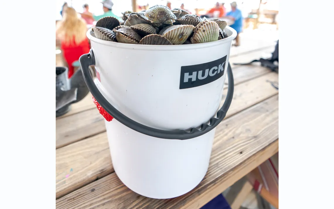 bucket