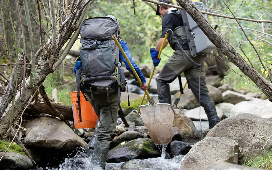 Michael Miller and Kelsie Field, graduate student researchers from New Mexico State University, electrofish a small stream that runs through Vermejo Park Ranch.