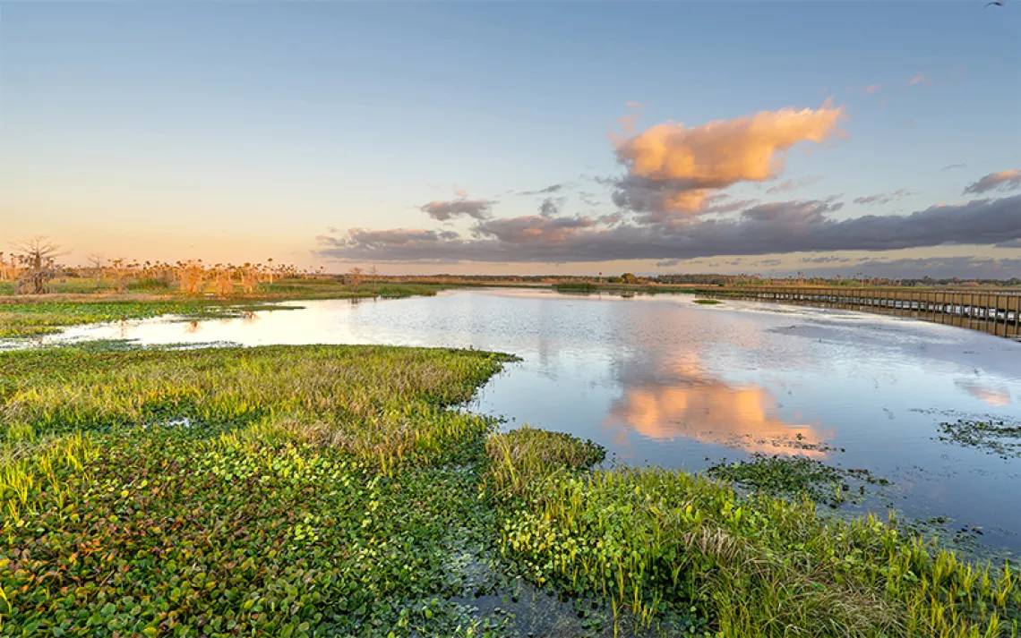 A vibrant sunrise in the beautiful natural surroundings of Orlando Wetlands Park in central Florida. 
