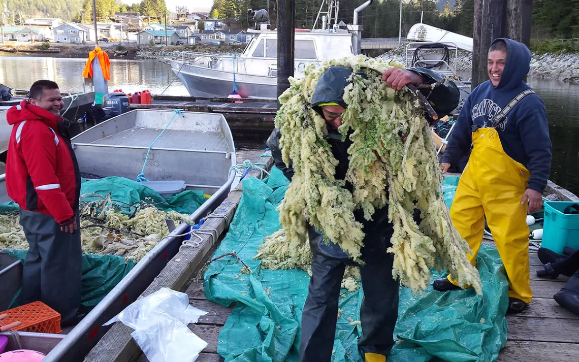 In Pursuit of an Ecological Resilience in the Anthropocene 