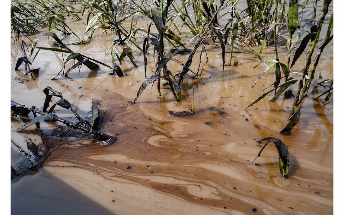 Evidence of the oil spill in the river near the Indigenous communities of Amarunmesa and San Carlos, April 10, 2020. 
