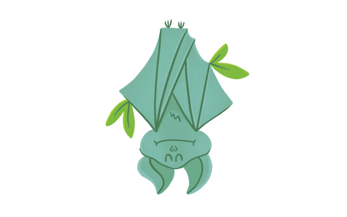 bat