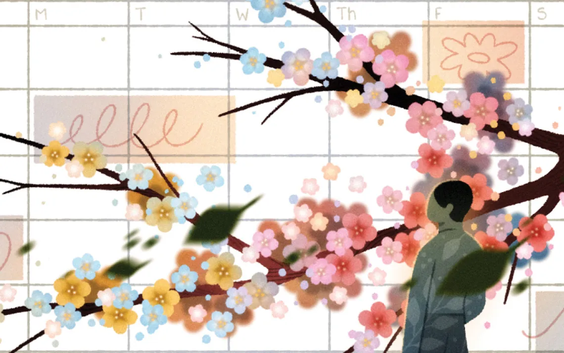  Illustration shows a page of a calendar with the back of a person and a cherry blossom branch falling across the page.
