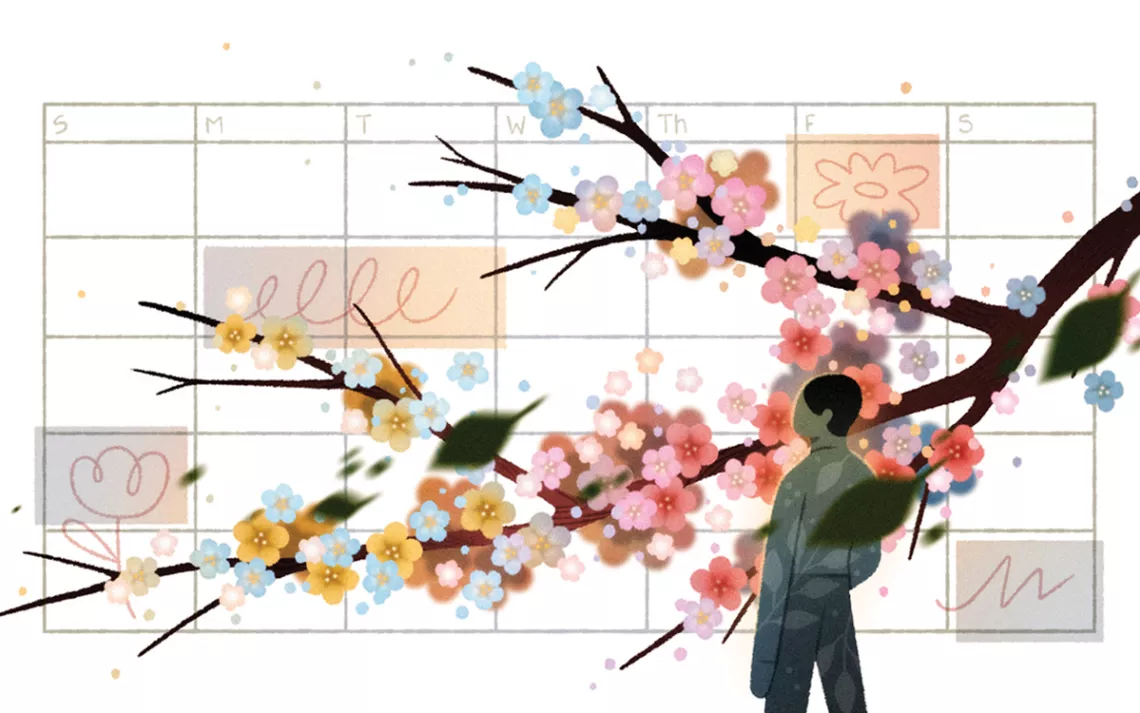  Illustration shows a page of a calendar with the back of a person and a cherry blossom branch falling across the page.