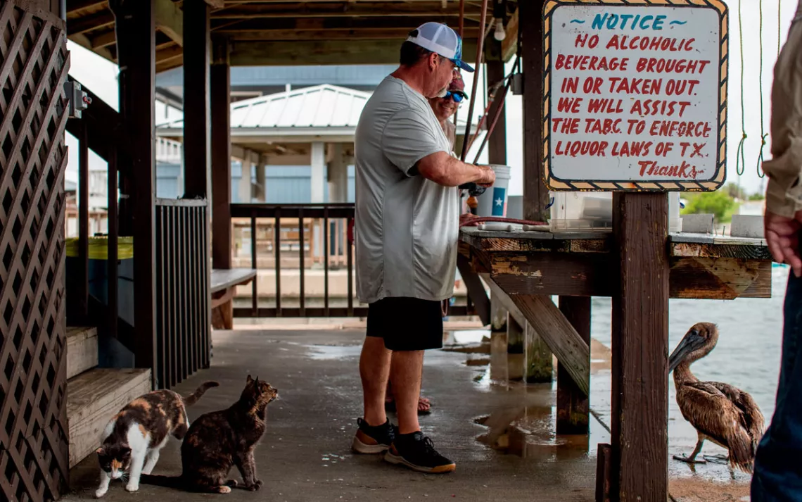 Two fishermen stand at a table on the edge of the water. Some cats and a pelican are nearby. A sign reads "Notice. No alcoholic beverage brought in or taken out. We will assist the TABC to enforce liquor laws of TX. Thanks."