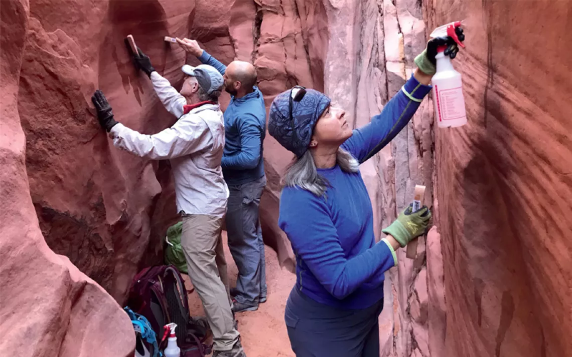 A woman and two men use spray bottles and brushes to clean the walls of the redrock, narrow Spooky Gulch in Grand Staircase–Escalante National Monument.
