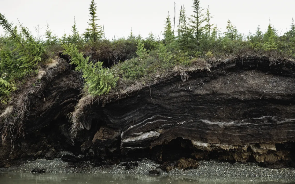 Close-up of a riverbank eroding