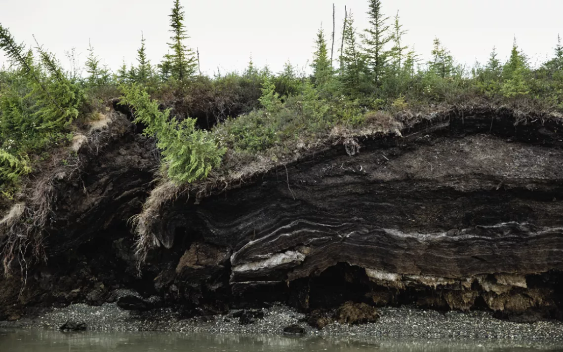 Close-up of a riverbank eroding