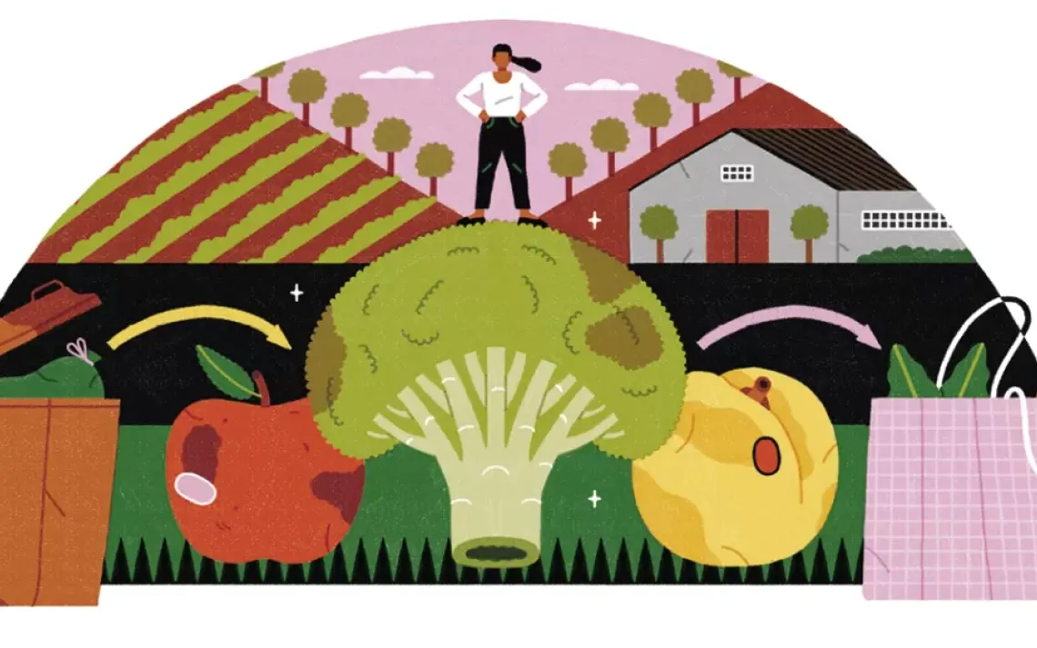 How to Reduce Food Waste