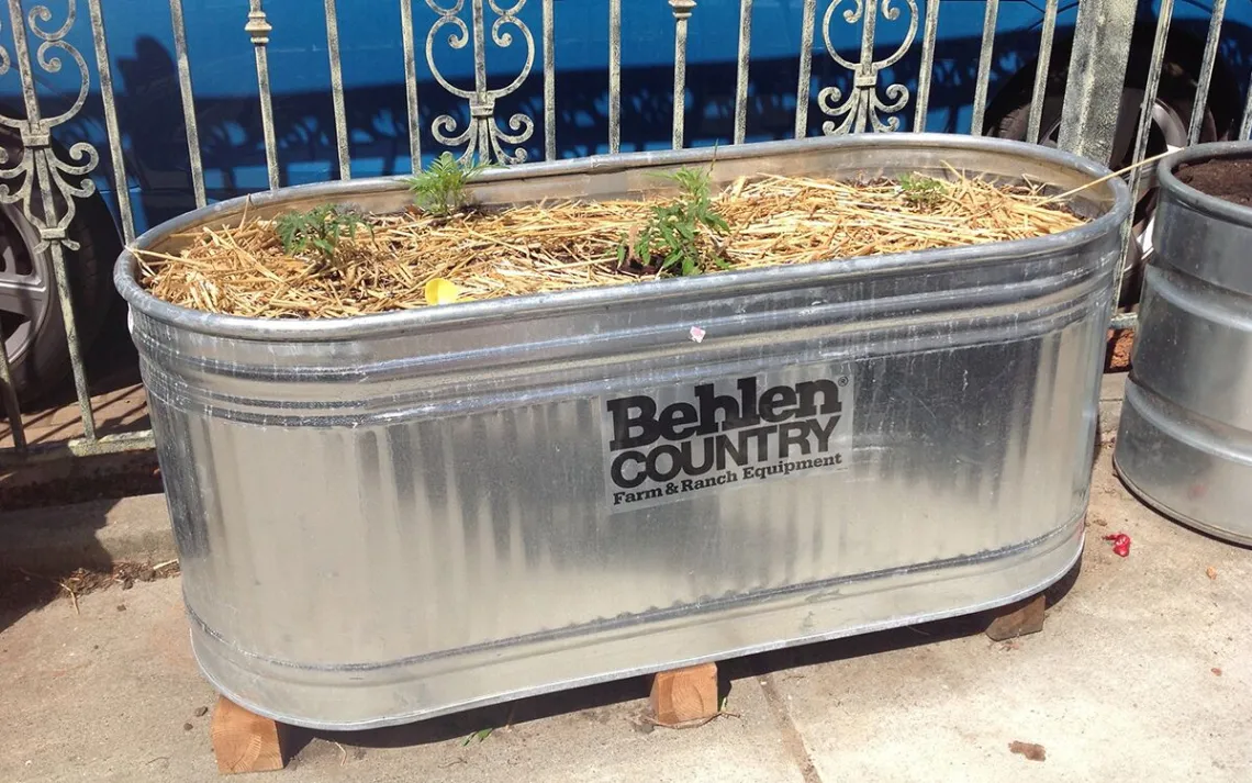 Container garden